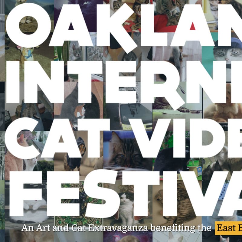 Oakland Internet Cat Video Festival splash page.