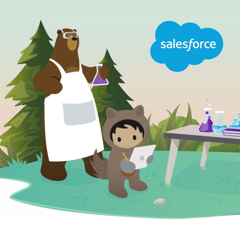 Astro the Adorable Salesforce Mascot.